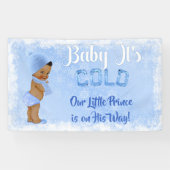 ベビー冷たい雪片の氷の青のエスニック・ボーイ 横断幕 (横)