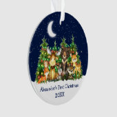 ベビー初めてのクリスマス森の動物が空を照らす オーナメント (正面)