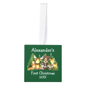 ベビー初めてのクリスマス森林動物グリーンフォト キューブオーナメント (正面)