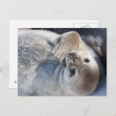 ベビー印 ポストカード (正面/裏面)