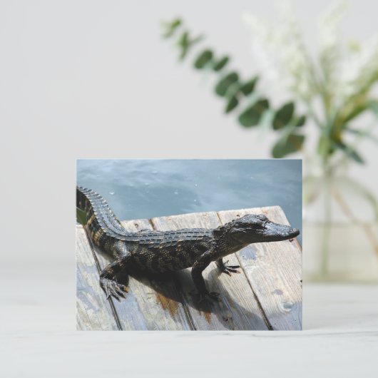 ベビー器 ポストカード (スタンド正面)