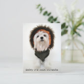 ベビー外は寒い ポストカード (スタンド正面)