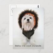 ベビー外は寒い ポストカード (正面/裏面)