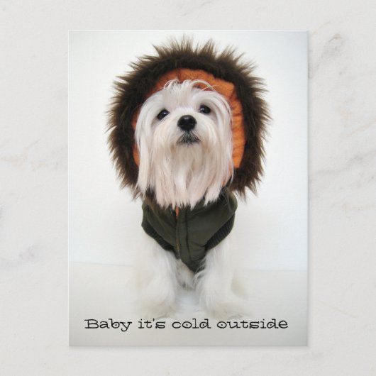 ベビー外は寒い ポストカード (正面)