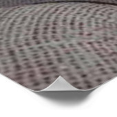 ベビー大眼大耳アビシニアン青いオス子猫 ポスター (角)