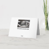 ベビー子猫グリーティングカード カード (裏面)