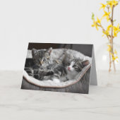 ベビー子猫グリーティングカード カード (黄色い花)