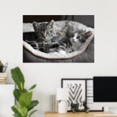 ベビー子猫ポスター ポスター (ホームオフィス)