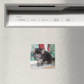 ベビー子猫 マグネット (インサイチュ (食洗機))
