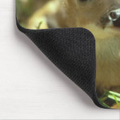 ベビー子豚 マウスパッド (コーナー)