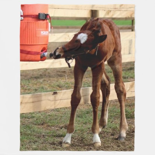 ベビー子馬飲む フリースブランケット (正面)