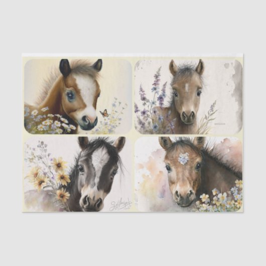 ベビー子馬 薄葉紙 (正面)