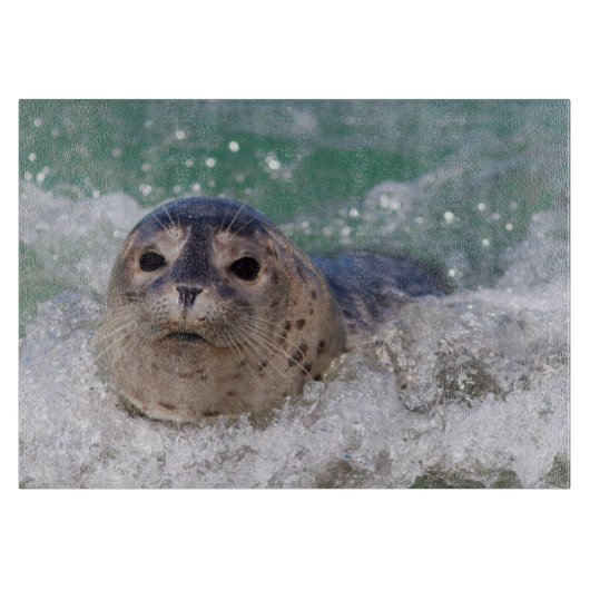 ベビー封印サーフィン カッティングボード (正面)