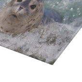 ベビー封印サーフィン カッティングボード (角)