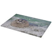 ベビー封印サーフィン カッティングボード (角)