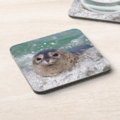 ベビー封印サーフィン コースター (左側)