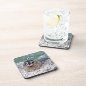 ベビー封印サーフィン コースター (右側)