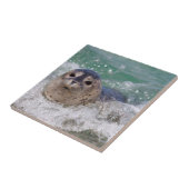 ベビー封印サーフィン タイル (側面)