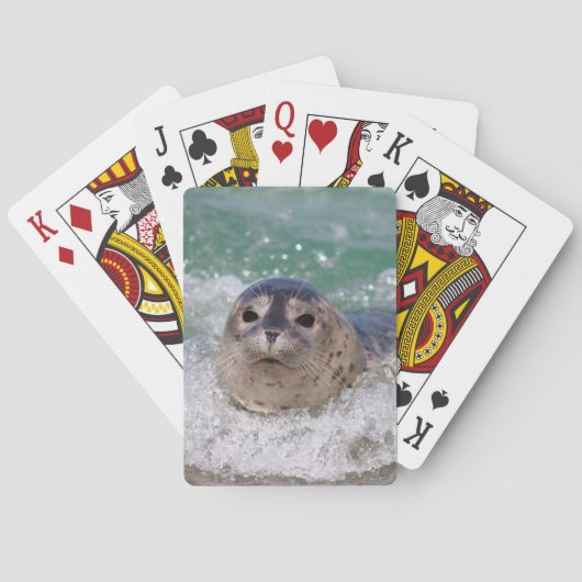 ベビー封印サーフィン トランプ (裏面)