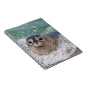 ベビー封印サーフィン ノートブック (右側)