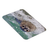 ベビー封印サーフィン マグネット (右側)