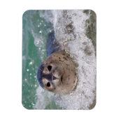 ベビー封印サーフィン マグネット (縦)