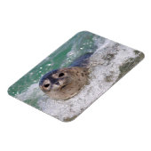 ベビー封印サーフィン マグネット (左側)