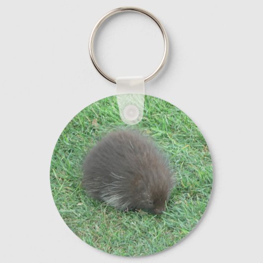 ベビー山嵐 キーホルダー (正面)