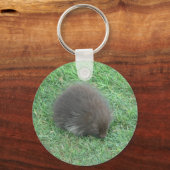 ベビー山嵐 キーホルダー (正面)