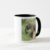 ベビー後を追象の母コルベット マグカップ (正面右)