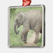 ベビー後を追象の母コルベット メタルオーナメント (左)