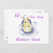 ベビー復活祭ヤギ シーズンポストカード (正面/裏面)