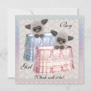 ベビー性リビールパーティの招待状 招待状