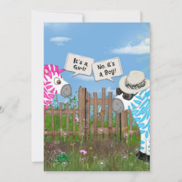 ベビー性別の表示パーティー 招待状