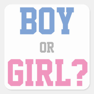 ベビー性女の子パーティーのステッカーを見る？ スクエアシール