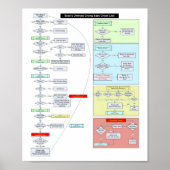 ベビー手順 ポスター (正面)