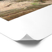 ベビー手順 ポスター (角)