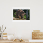 ベビー手順 ポスター (キッチン)