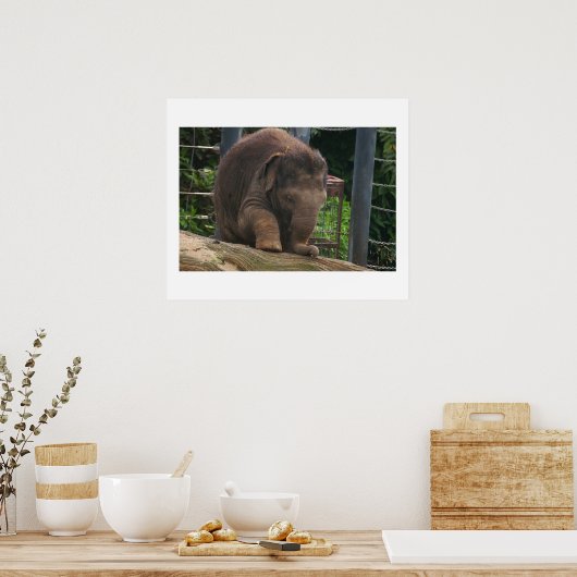 ベビー手順 ポスター (キッチン)