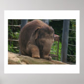 ベビー手順 ポスター (正面)