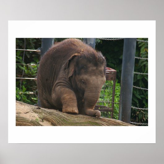 ベビー手順 ポスター (正面)