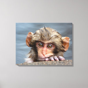 ベビー日本のマカク  地獄谷野猿公苑 キャンバスプリント