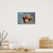 ベビー日本のマカク |地獄谷野猿公苑 ポスター (キッチン)