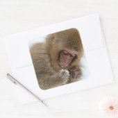ベビー日本のマカク | Snow Monkey スクエアシール (封筒)