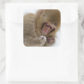 ベビー日本のマカク | Snow Monkey スクエアシール (バッグ)