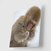 ベビー日本のマカク | Snow Monkey スクエア壁時計 (傾斜)