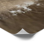 ベビー日本のマカク | Snow Monkey ポスター (角)