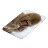 ベビー日本のマカク | Snow Monkey マグネット (左側)