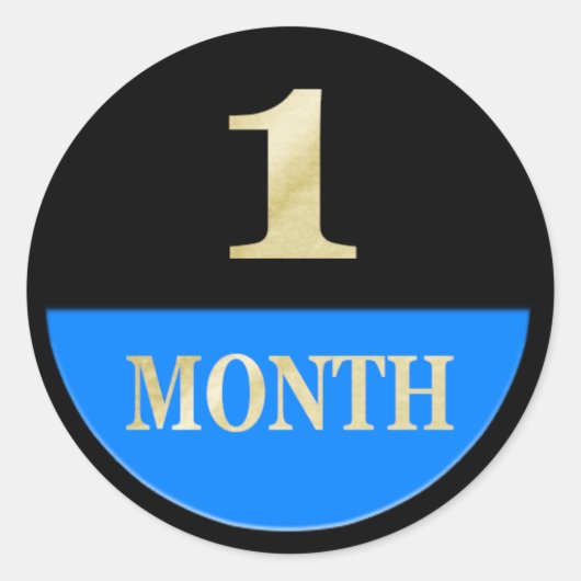 ベビー月次マイルストーンスクラップブックジャーナルシール ラウンドシール (正面)