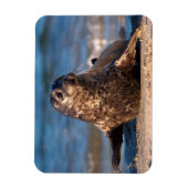 ベビー来が子どもの池に上陸する マグネット (縦)